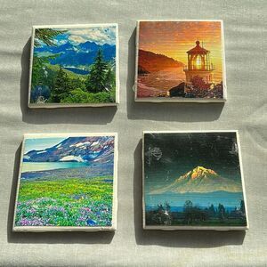 Landscape Coasters